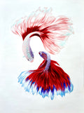 Oh So Koi | Original Painting